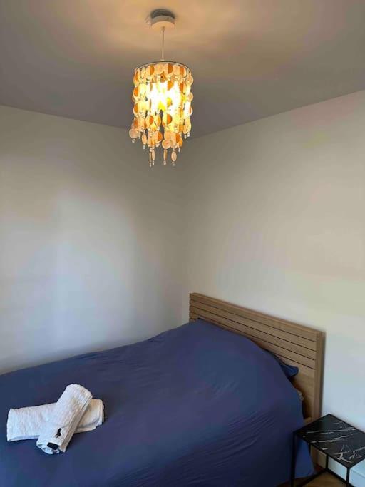 Charmant T3 Moderne Climatise Villeurbanne Exterior foto
