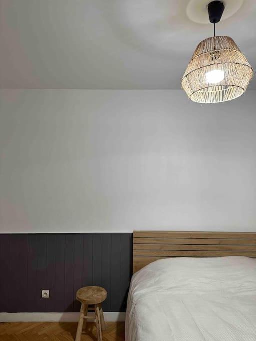 Charmant T3 Moderne Climatise Villeurbanne Exterior foto